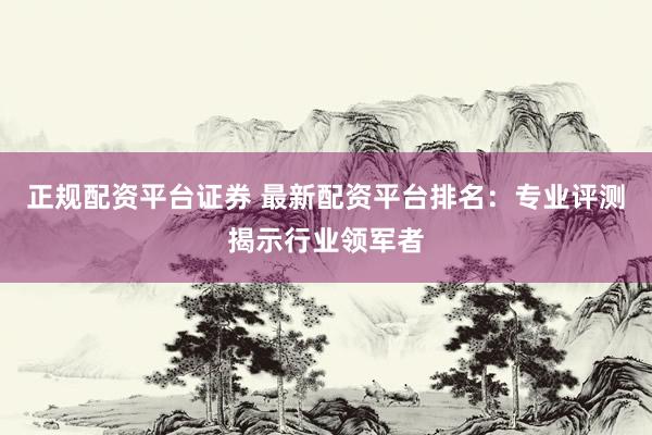 正规配资平台证券 最新配资平台排名：专业评测揭示行业领军者