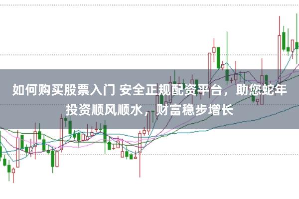 如何购买股票入门 安全正规配资平台，助您蛇年投资顺风顺水，财富稳步增长
