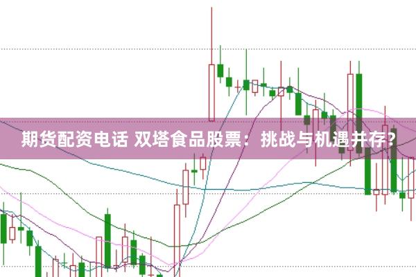 期货配资电话 双塔食品股票：挑战与机遇并存？