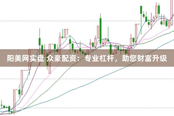 阳美网实盘 众豪配资：专业杠杆，助您财富升级