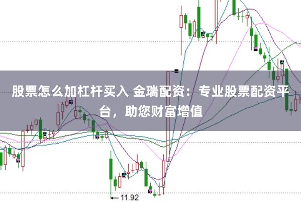 股票怎么加杠杆买入 金瑞配资：专业股票配资平台，助您财富增值