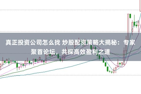 真正投资公司怎么找 炒股配资策略大揭秘：专家聚首论坛，共探高效盈利之道