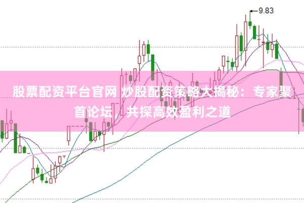 股票配资平台官网 炒股配资策略大揭秘：专家聚首论坛，共探高效盈利之道