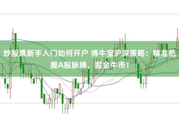 炒股票新手入门如何开户 博牛宝沪深策略：精准把握A股脉搏，掘金牛市！