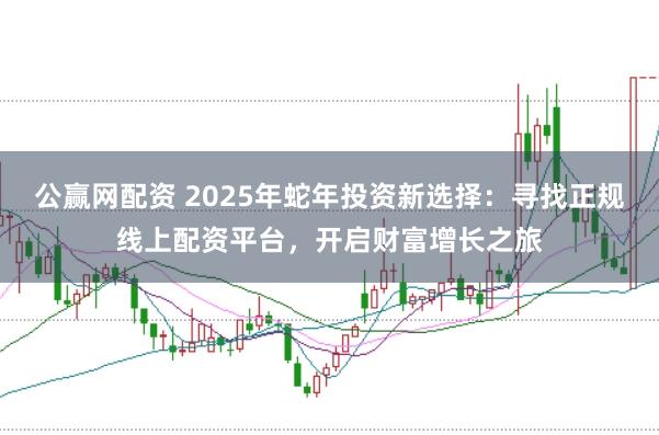 公赢网配资 2025年蛇年投资新选择：寻找正规线上配资平台，开启财富增长之旅