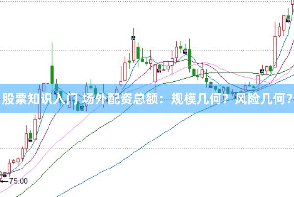 股票知识入门 场外配资总额：规模几何？风险几何？