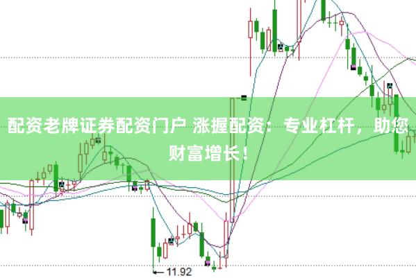配资老牌证券配资门户 涨握配资：专业杠杆，助您财富增长！