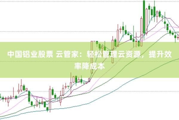 中国铝业股票 云管家：轻松管理云资源，提升效率降成本