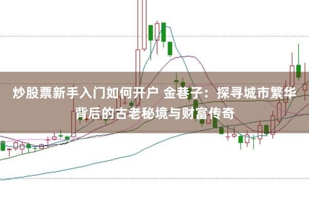 炒股票新手入门如何开户 金巷子：探寻城市繁华背后的古老秘境与财富传奇