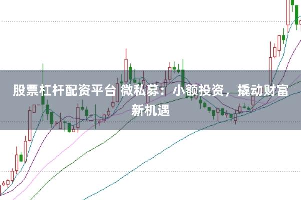 股票杠杆配资平台 微私募：小额投资，撬动财富新机遇