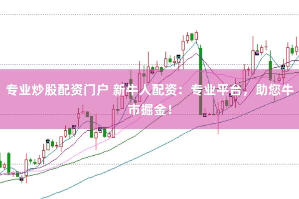 专业炒股配资门户 新牛人配资：专业平台，助您牛市掘金！