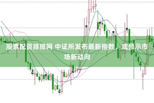 股票配资排排网 中证所发布最新指数，或预示市场新动向