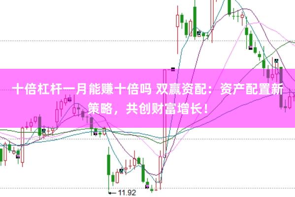 十倍杠杆一月能赚十倍吗 双赢资配：资产配置新策略，共创财富增长！