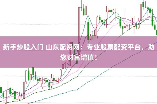 新手炒股入门 山东配资网：专业股票配资平台，助您财富增值！