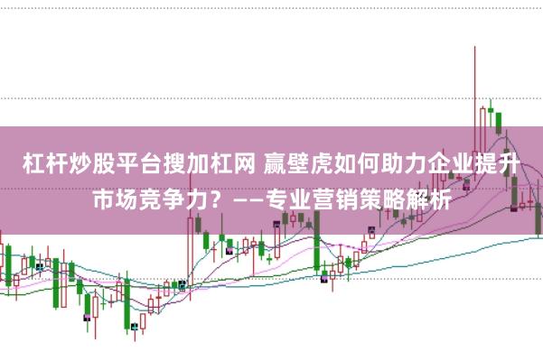 杠杆炒股平台搜加杠网 赢壁虎如何助力企业提升市场竞争力？——专业营销策略解析