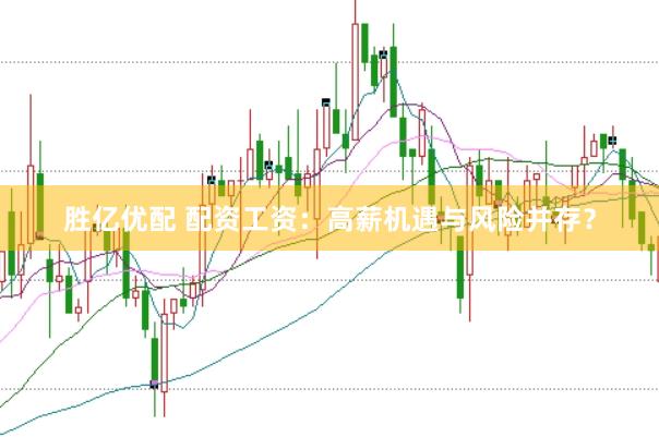 胜亿优配 配资工资：高薪机遇与风险并存？