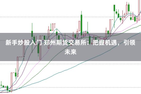 新手炒股入门 郑州期货交易所：把握机遇，引领未来