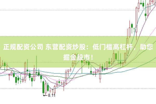 正规配资公司 东营配资炒股：低门槛高杠杆，助您掘金股市！