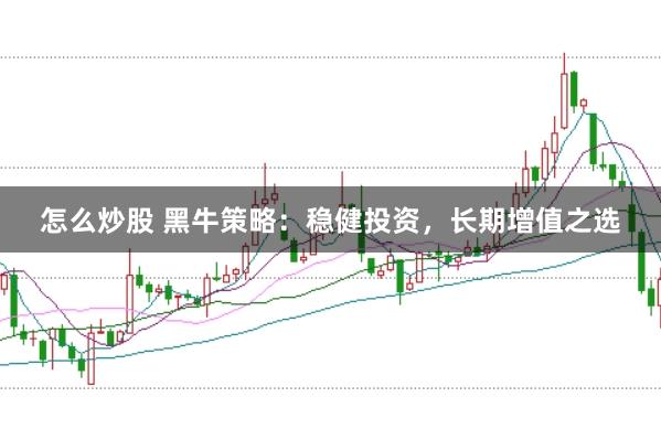 怎么炒股 黑牛策略：稳健投资，长期增值之选