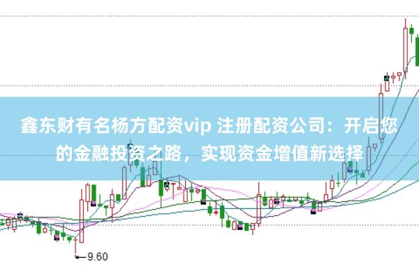 鑫东财有名杨方配资vip 注册配资公司：开启您的金融投资之路，实现资金增值新选择