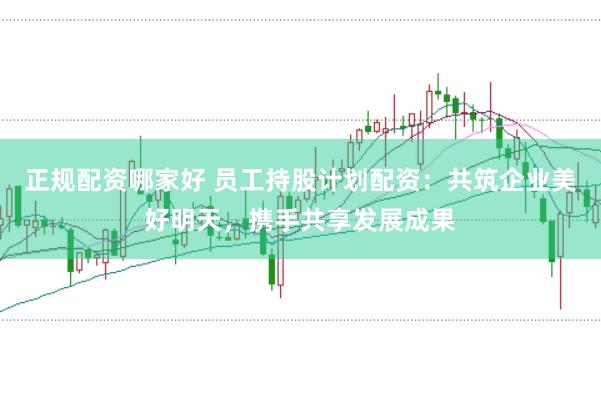 正规配资哪家好 员工持股计划配资：共筑企业美好明天，携手共享发展成果