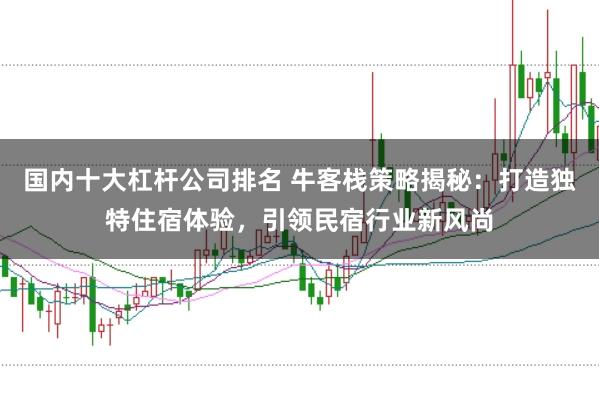国内十大杠杆公司排名 牛客栈策略揭秘：打造独特住宿体验，引领民宿行业新风尚